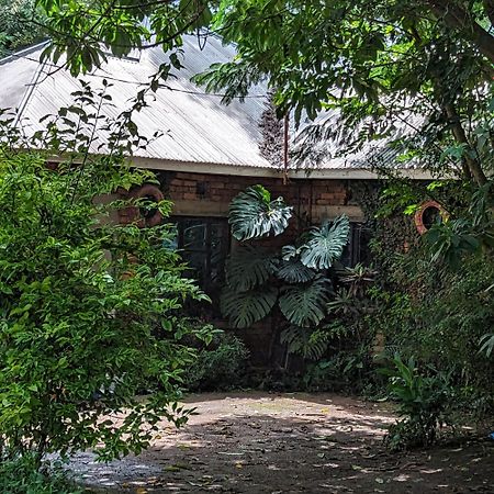 Arusha Holiday Safari 외부 사진