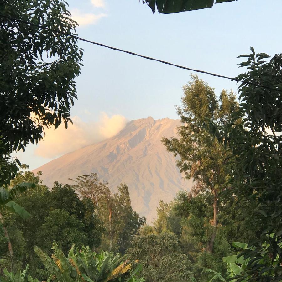 Arusha Holiday Safari 외부 사진
